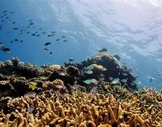 九游官方体育-关于这也行？穆雷在切尔西比赛中伤愈复出曼城内部会议纪要流出——今晚遗憾出局，风云突变上海海港今晚主帅复盘的信息